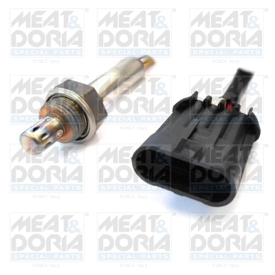 Oxygen Sensor